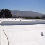 Large business building with foam roof