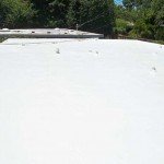 Large Polyurethane roof