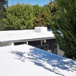 Spray foam roofing near trees