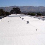 Business spray foam roof