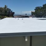 Dura-Foam completed project spray roofing. Trees in background.