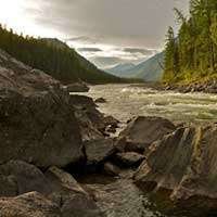 landscape with nature and trees and river and rocks